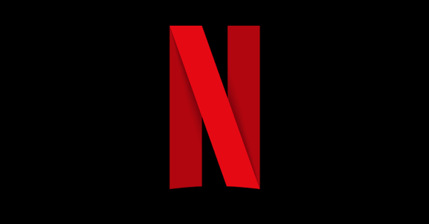 Private Netflix Account